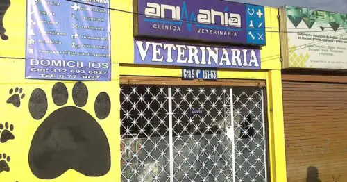 CLINICA VETERINARIA ANIMANIA CLINICA VETERINARIA ANIMANIA